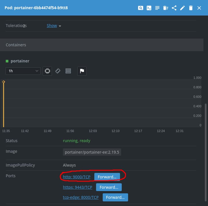 How To Deploy Portainer in Kubernetes With Traefik Ingress Controller - Pod Details